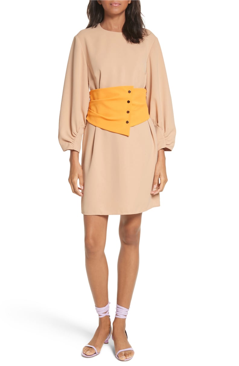 Tibi Shirred Sleeve Corset Dress