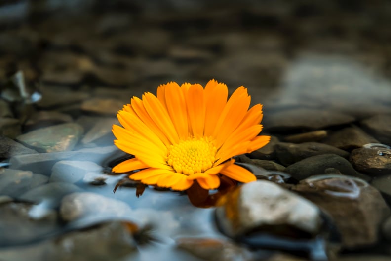 Skip rocks together at a pond.