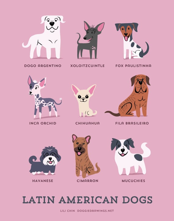 how many breeds of dogs are there in the world