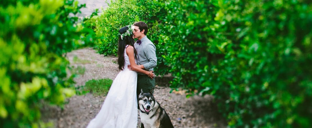 Lemon Orchard Wedding