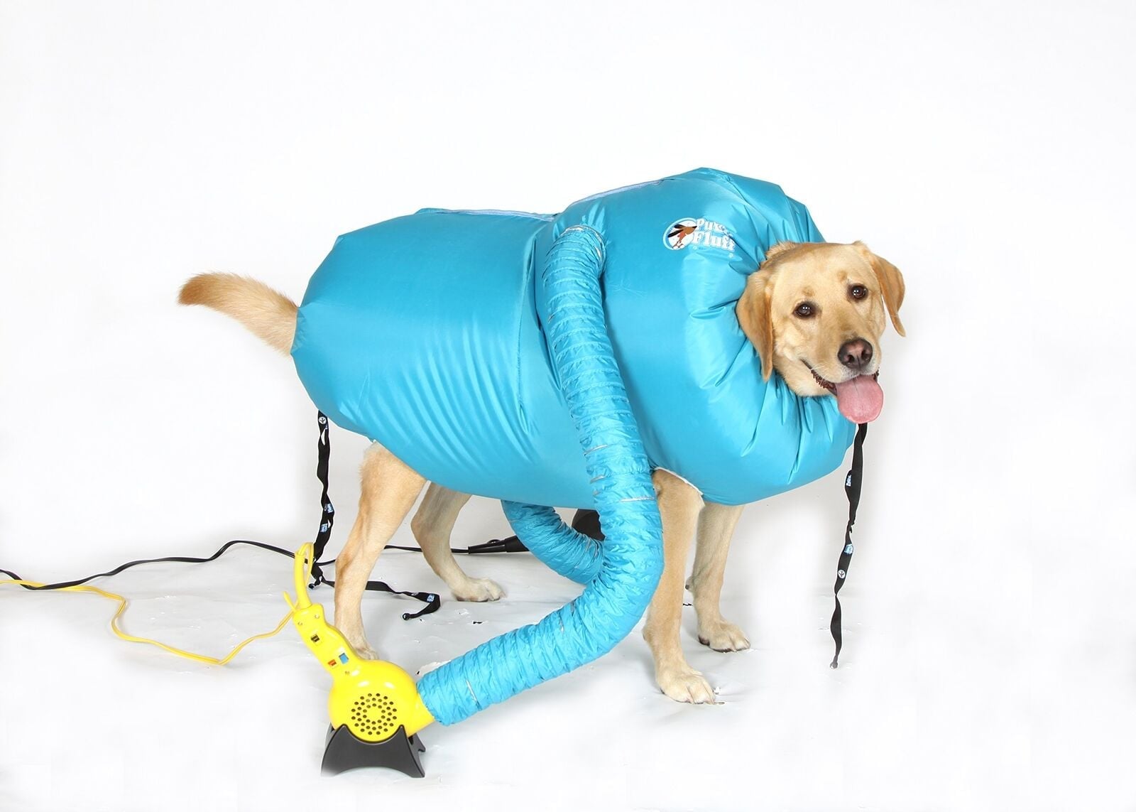 Dog dryer top