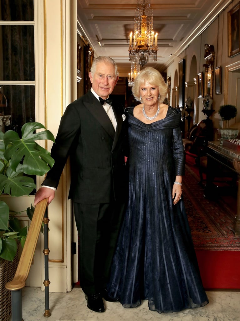 The Royal Family at Prince Charles's 70th Birthday Party
