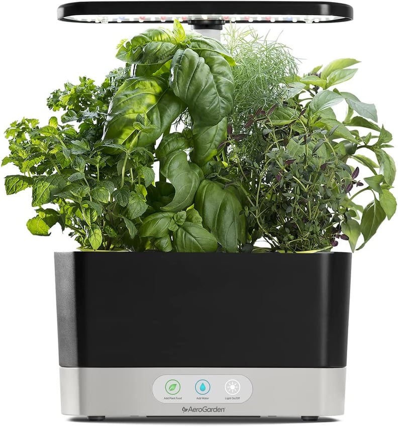 Best Hydroponic Indoor Garden Deal