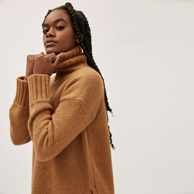 Everlane The Cloud Turtleneck