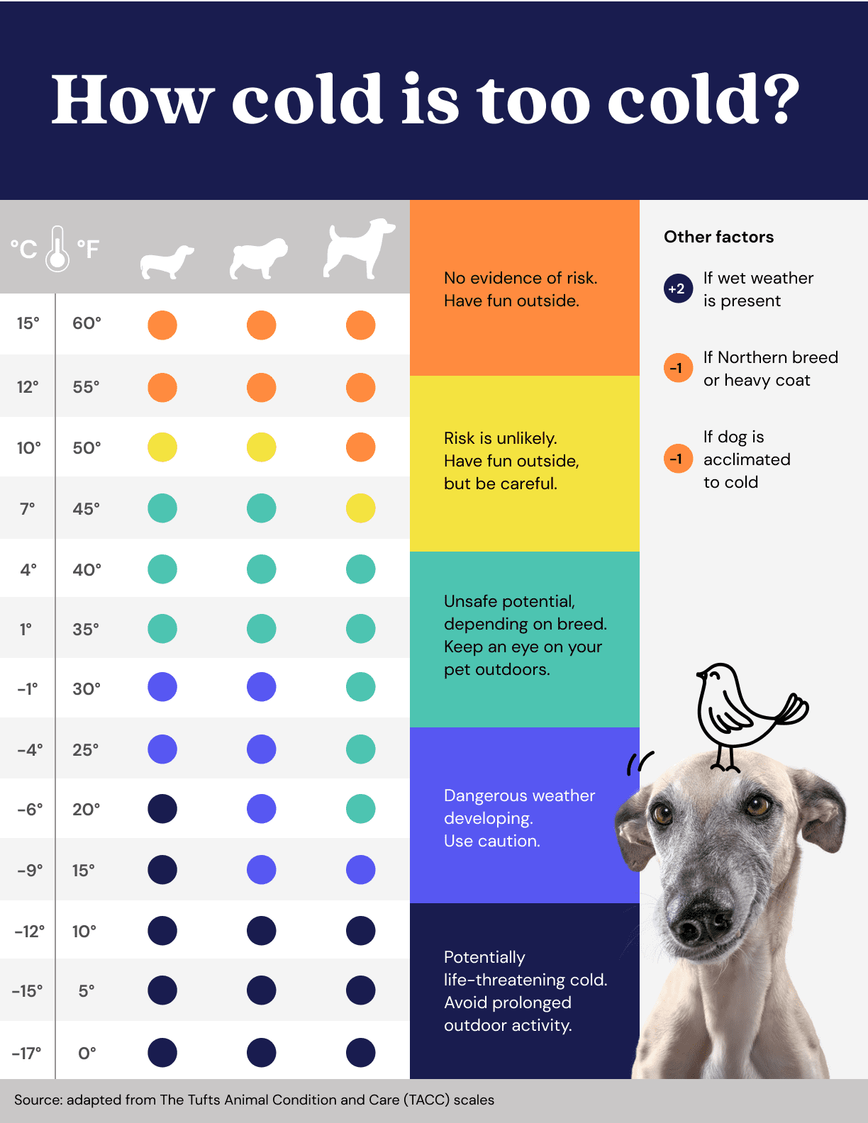 Что дать собаке от температуры