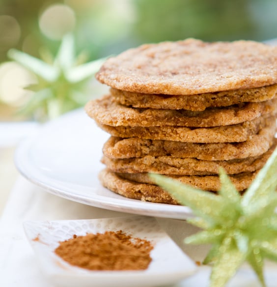 Jumbo Soy Nog Snickerdoodles