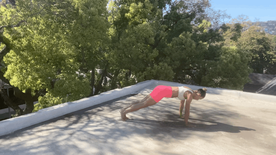 Mountain Climber With Twist