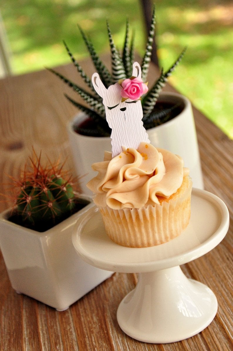 Llama and cactus baby shower sales