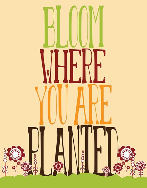 I'm loving the tall letters and cute flowers on this Bloom Where You Are Planted ($21) print.