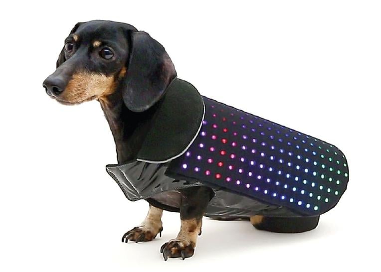 Disco Dog Wearable Vest