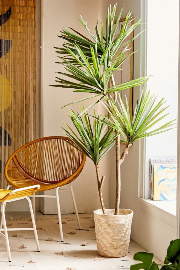 Yucca Potted Faux Tree