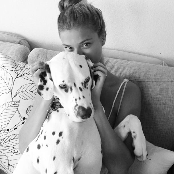 Nina Agdal shares photos of her family's dalmatian on her Instagram feed.
Source: Instagram user ninaagdal