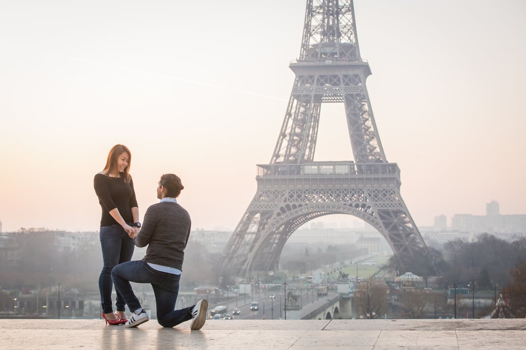 Eiffel Tower Proposal