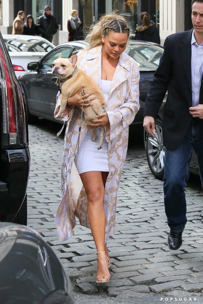 Chrissy Teigen Walking Her Dog in NYC March 2016