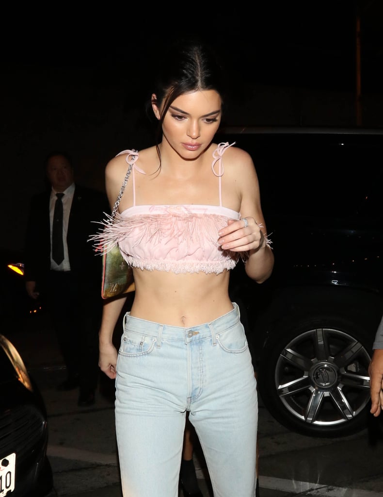 Kendall Jenner's Pink Feather Crop Top