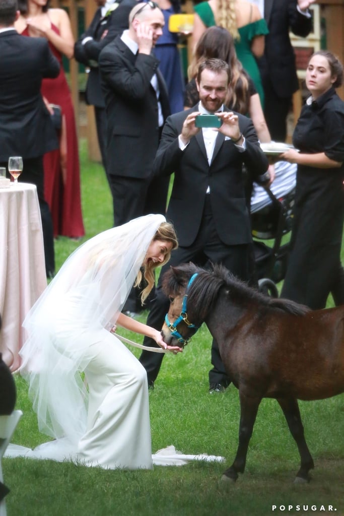 Ashley Greene and Paul Khoury Wedding Pictures 2018