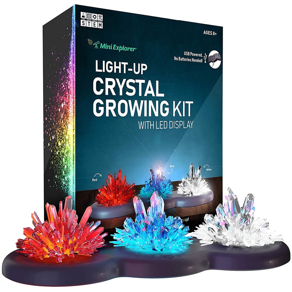 Mini Explorer Light-Up Crystal Growing Kit