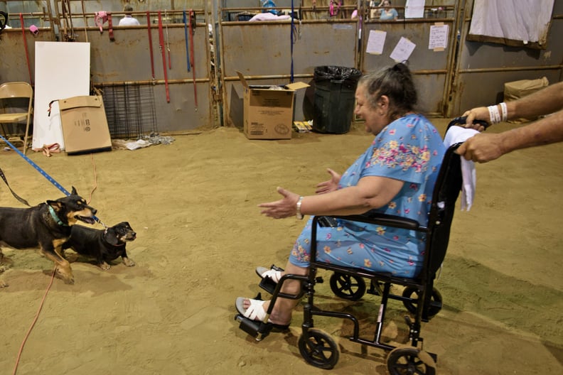 A woman is happy to see her rescued dogs at their temporary shelter in Gonzales, LA.