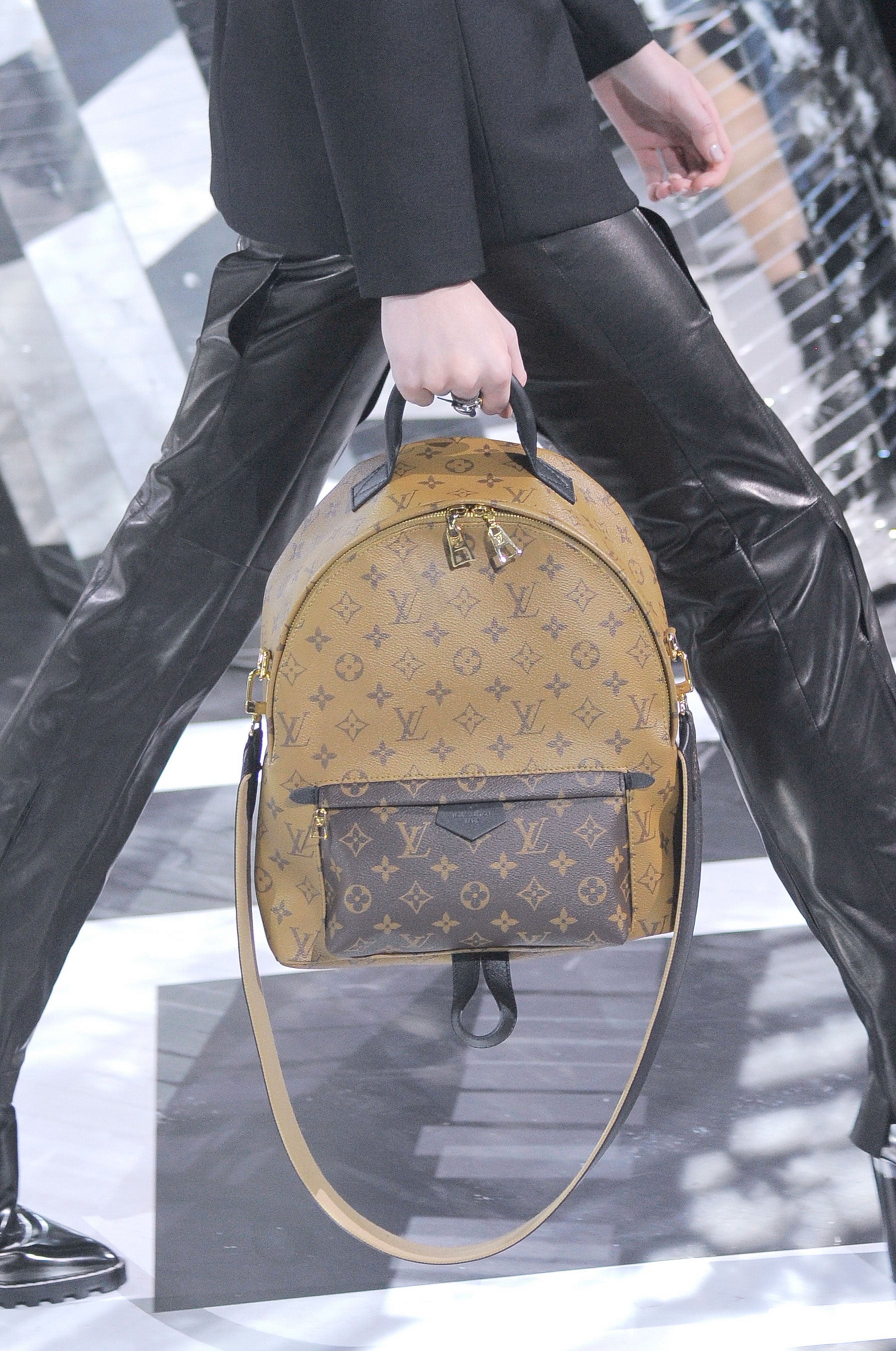 Louis Vuitton Bags and Shoes Fall 2016