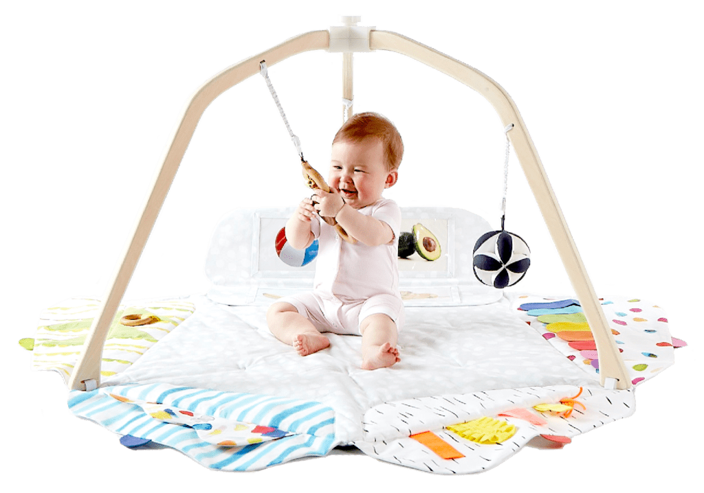 Lovevery The Play Gym