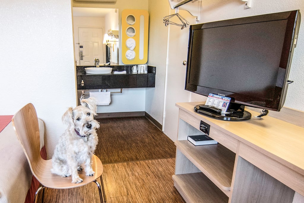 Motel 6 Pet Friendly Vacations Popsugar Pets Photo 2