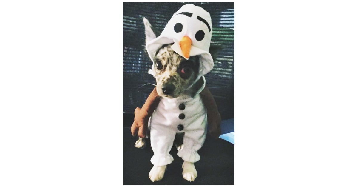 Olaf Disney Dog Costumes POPSUGAR Pets Photo 3