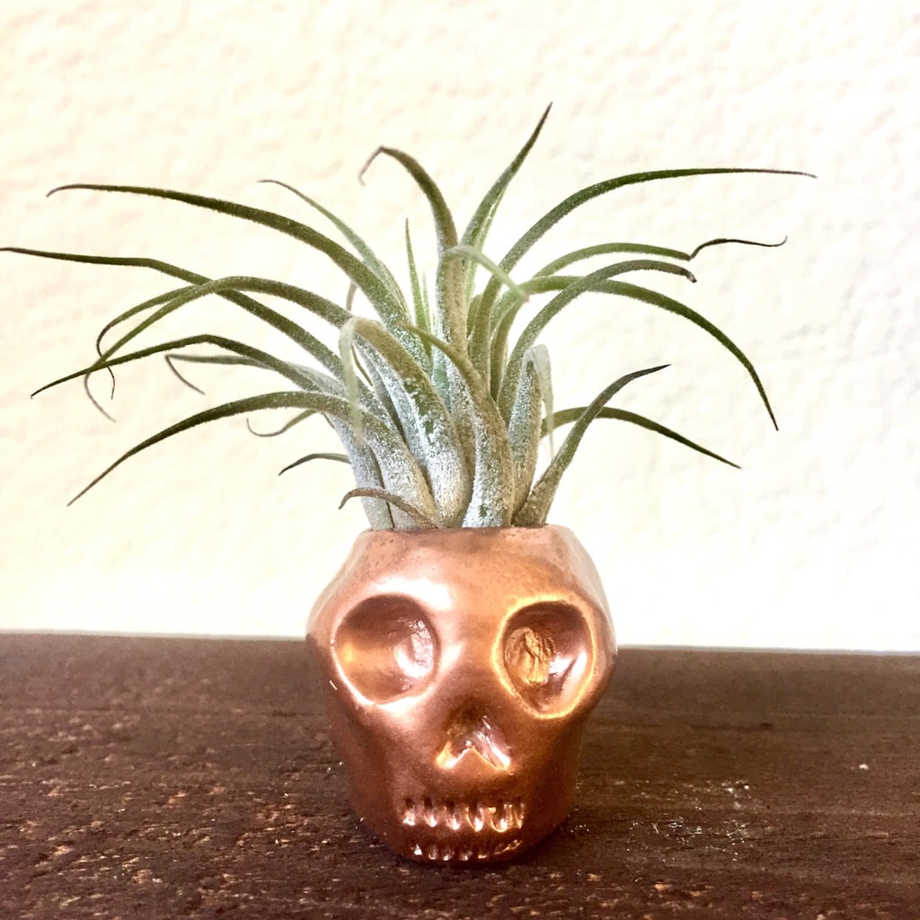 OMG, this planter ($8) is rose gold and miniature? Heck yes!