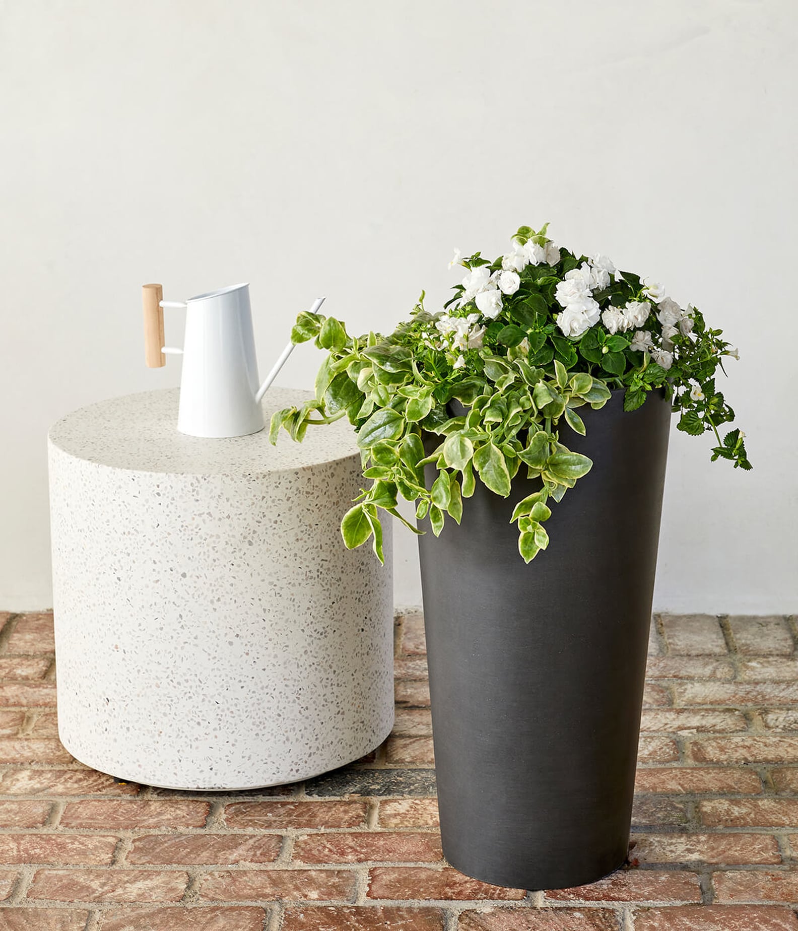 Bloomscape Outdoor Plant Launch | PS Home