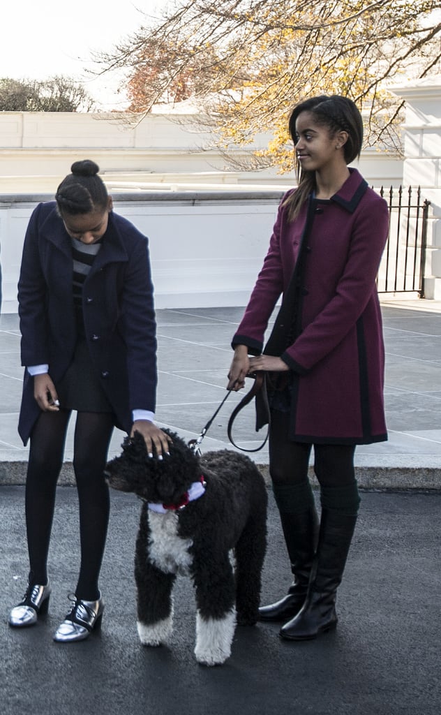 When They Looked Like the Country's Most Stylish Dog Walkers While Hanging Out With Bo in 2013