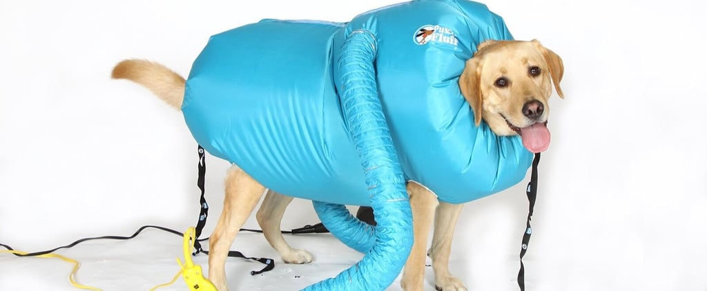 Puff-N-Fluff Dog Dryer