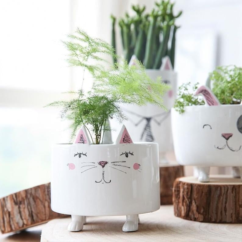 Animal Succulent Pots Cat Planter Pot Dog Animal Planter