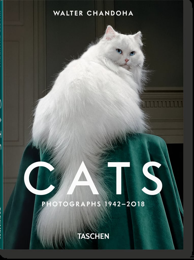 Cats Book