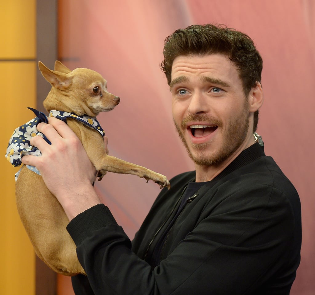 Richard Madden posed with a pooch on the Miami set of Despierta America on Thursday.
