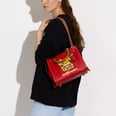 10 Stylish Pieces to Shop From the Disney x Coach Collab