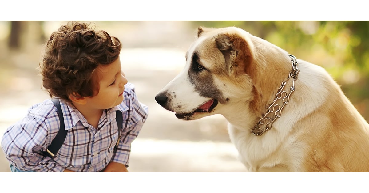First Pets For Kids POPSUGAR Moms