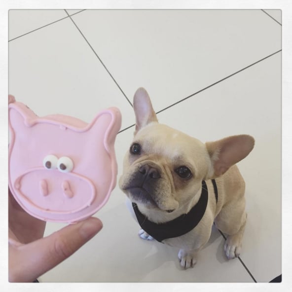 "#beau 🐷"