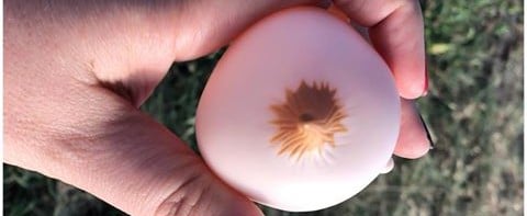 Husband Says Wife "Went Too Far Getting a Boob Toy" For Baby Until He Saw What It Really Was