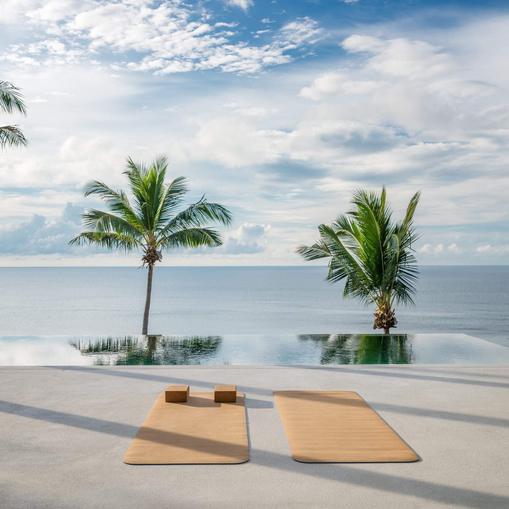 yoga mats in front of palm trees and an ocean view