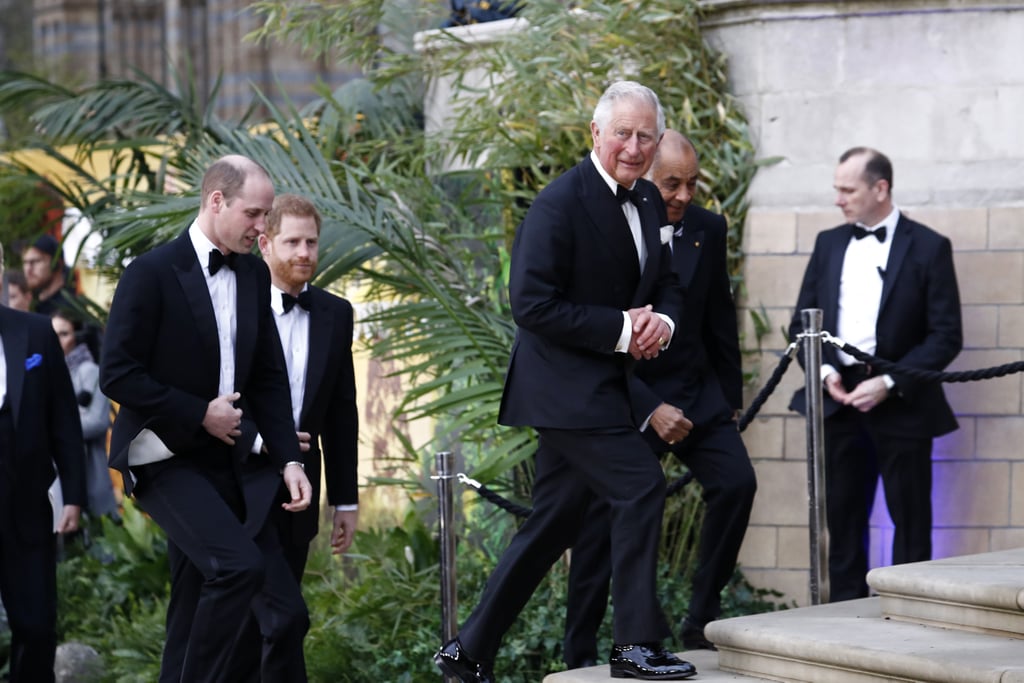 Harry, William, and Charles at Our Planet Premiere 2019