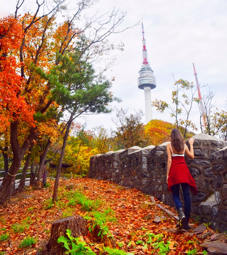 Fall Colors