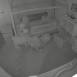 Toddler Escapes Room With Help of Dogs