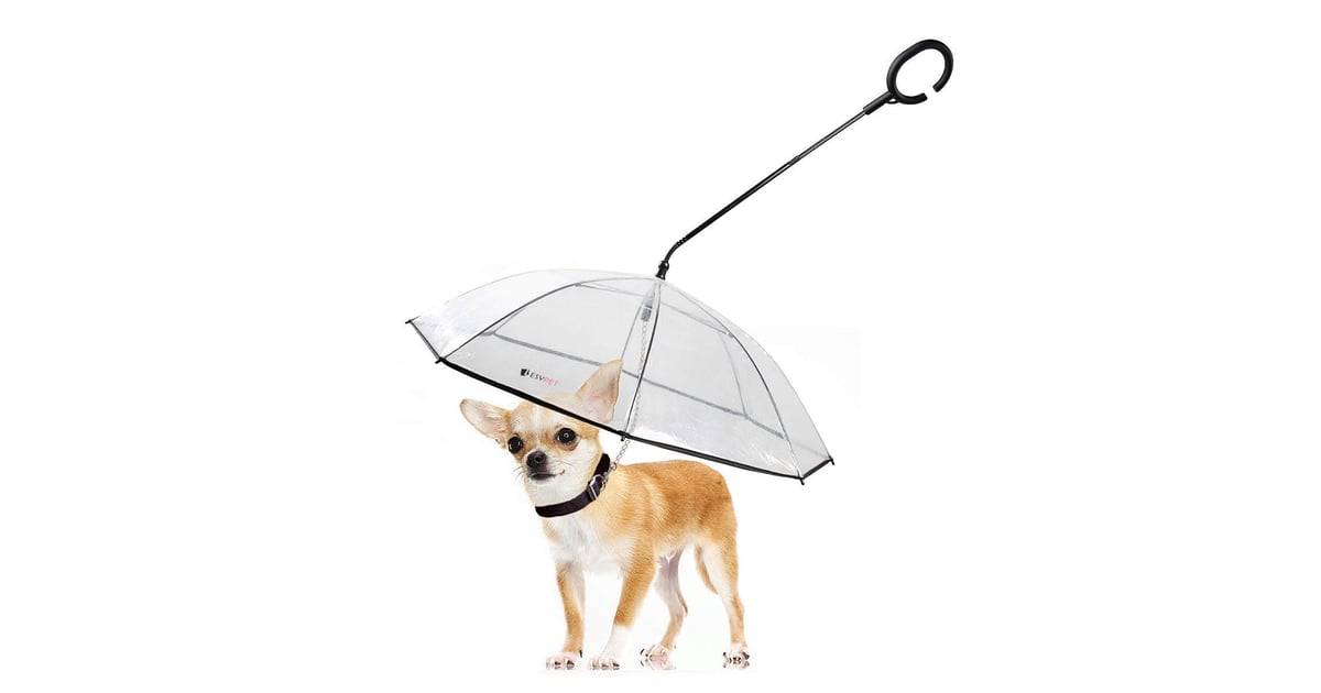 Lesypet pet hot sale umbrella