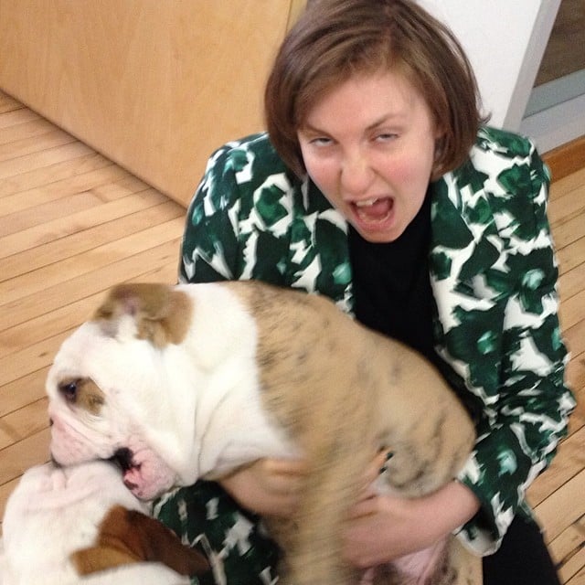 Lena Dunham got a little crazy with a bulldog.
Source: Instagram user lenadunham