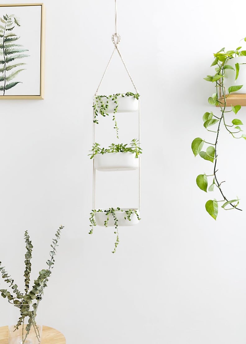 Best Hanging Planter