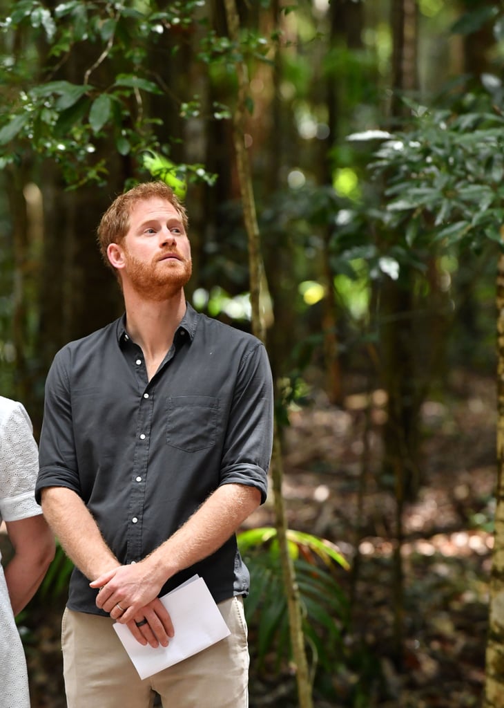 Prince Harry Responding to Woman's Compliment in Australia