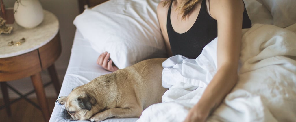 A Step-by-Step Guide to Building Your Coziest Bed Ever