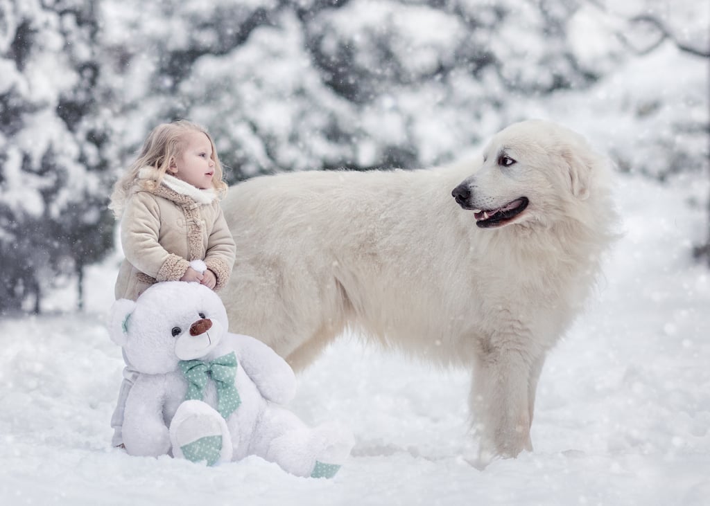 Big Dogs Little Kids