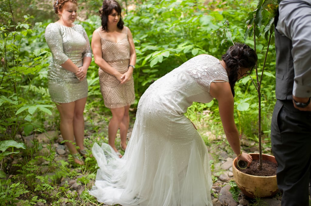 California Forest Wedding