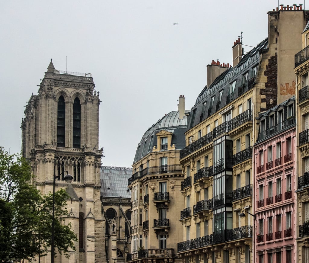 Despite what angle you gaze upon Notre Dame, though, the truth is any view will forever leave you feeling inspired. And don't even get me started on that lovely rose-colored building sandwiched there in the middle. Be still my heart.