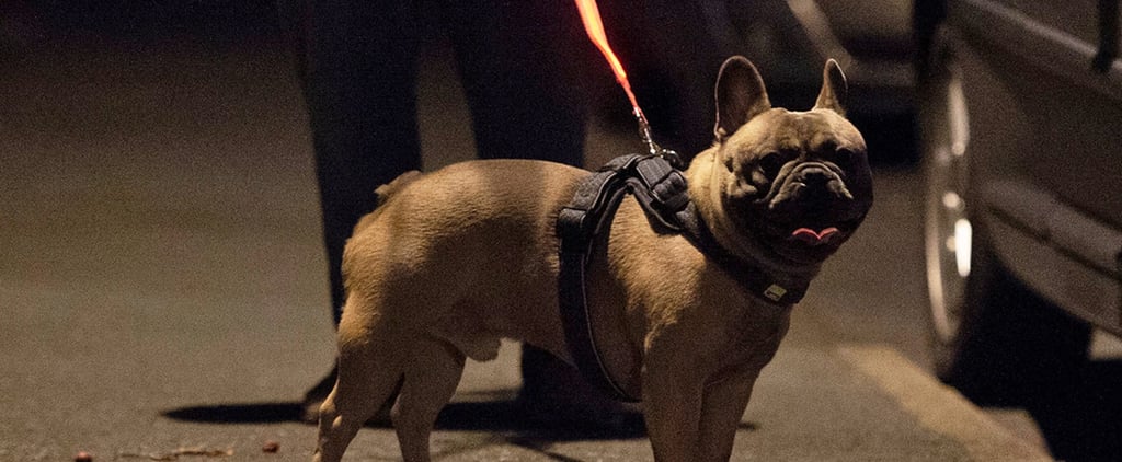Star Wars Lightsaber Light-Up Leash